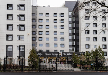 Фото №14 зала Белое дерево