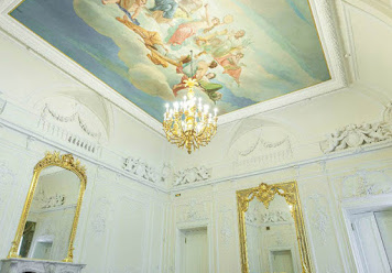 Фото №3 зала Дворец Трубецких-Нарышкиных