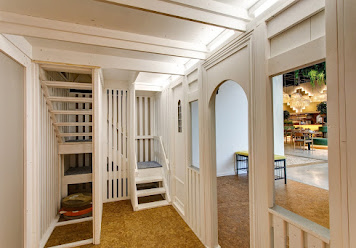 Фото №15 зала Кукуруза в Мурино