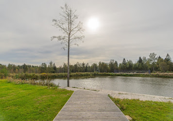 Фото №19 зала Стеклянный