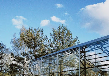 Фото №4 зала Сиреневая аллея