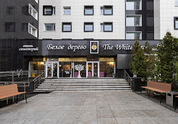 Фото №13 зала Белое дерево