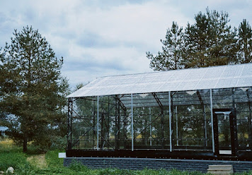 Фото №5 зала Сиреневая аллея