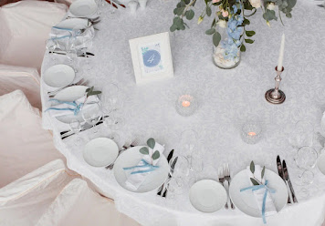 Фото №11 зала Репинский курорт